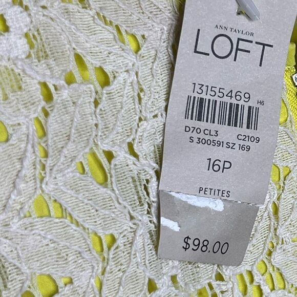 NWT Ann Taylor Loft Petites Lace Dress Green Lining Sleeveless Career Office 16P - Picture 8 of 9